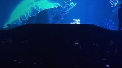 裘德 - 浓缩蓝鲸