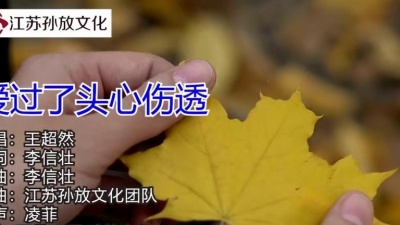 王小叶 - 爱过了头心伤透