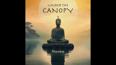 Mayorkun - Under The Canopy