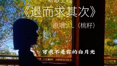 L（桃籽） - 退而求其次