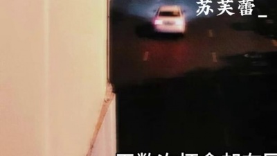 豆豆果 - 苏芙蕾《风替我说了再见》饭制
