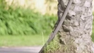 王昱璇 - 彩虹糖