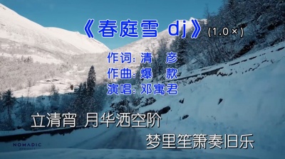 DJ阿福 - 多情最是春庭雪，年年落满离人苑。