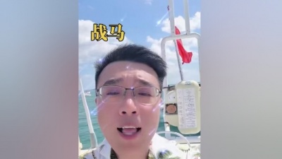 崔伟立 - 战马