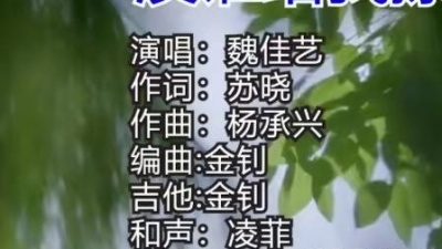 冯鑫阳 - 没谁给我擦眼泪