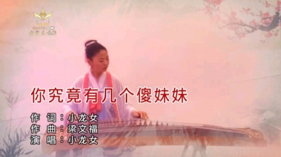 小龙女 - 你究竟有几个傻妹妹