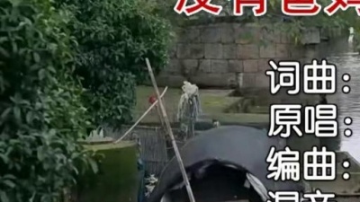 王颖、汪志祥 - 没有爸妈就没有温暖的家