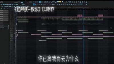 豆豆果 - 《放纵L》DJ迷人磊
