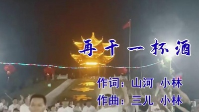 小林 - 再干一杯酒(DJ动感)