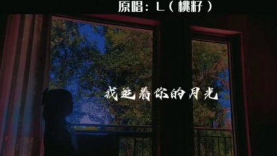 豆豆果 - 《此去半生》L（桃籽）