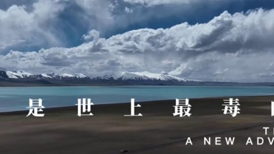北京宝哥 - 情是世上最毒的药