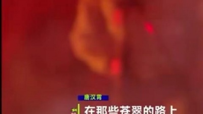 唐汉霄、Supper Moment - 大地