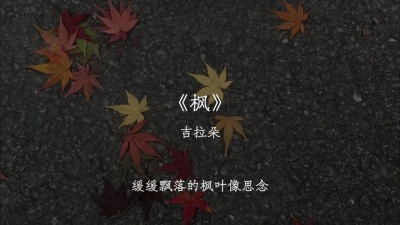豆豆果 - 《枫》饭制 吉拉朵