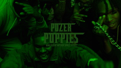 pozer - Puppies