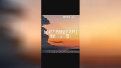 空耿耿 - 《白鸽乌鸦相爱的戏码》空耿耿