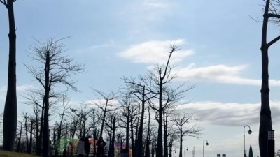 简单小芳、熊七梅 - 今生有你陪着我