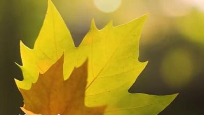 简单小芳、熊七梅 - 一件花衣裳