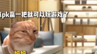 临风 - 猫meme