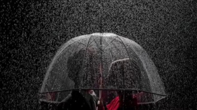 豆豆果 - Улетали птицами гордыми#暖豪Music、明洋(骄傲的鸟儿飞走了)(纯音乐)