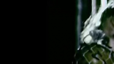 The Verve - Blue