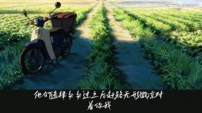 DJ迷人磊 - 婉枫/张联-风经过，唱离合（DJ迷人磊Remix）