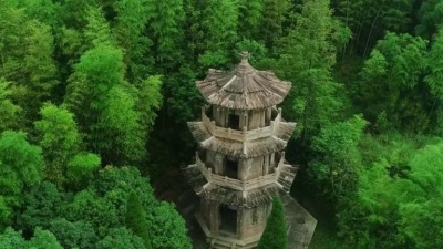 江洋 - 无尘