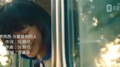 DJ辉仔 - 为爱受伤的人-梦西西