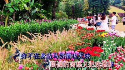 萧民制作 - 思念陪着鸿雁飞》齐旦布原版伴奏