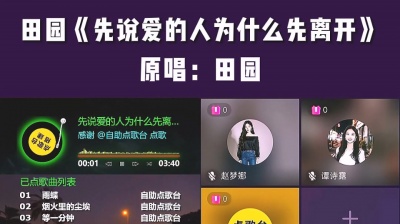 九听音乐自助点歌台 - 抖音快手九宫格音乐厅自助点歌台：田园《先说爱的人为什么先离开》