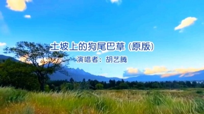 胡艺腾 - 土坡上的狗尾巴草《KTV版》