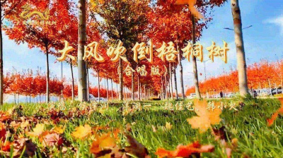 刘培 - 候泽润、洋澜一、魏佳艺、韩小欠《大风吹倒梧桐树》合唱版好听。