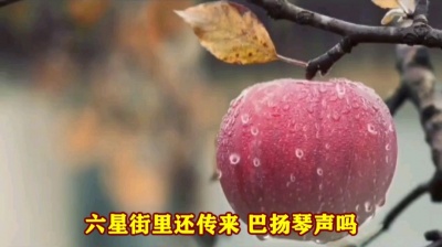 萧民制作 - 苹果香》曼铃DJ演唱版