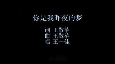 郑小闲 - 你是我昨夜的梦-王一佳