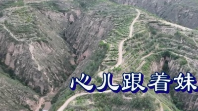韩晓辉 - 心儿跟着妹妹走