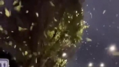 豆豆果 - 《爱我当你没有说》音越婉清
