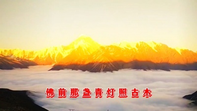 豆豆果 - 《情劫最难渡》DJ版饭制 赵洋