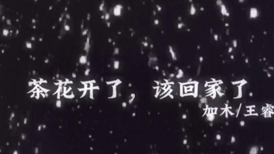 豆豆果 - 《茶花开了，该回家了》饭制 王睿卓、加木