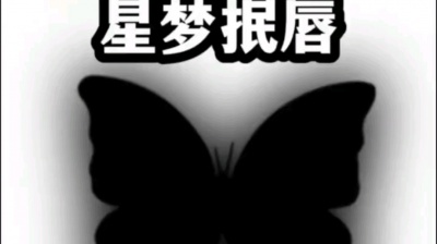 巷子里的猫 - 小说推文