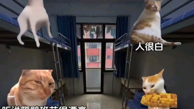 系尔 - 逆天
