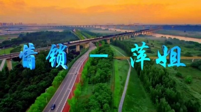 樱花殘 - 情锁 - 萍姐dj舞曲
