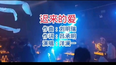 车载DJ - 迟来的爱dj
