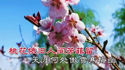 沉迷 - 烟雨红尘