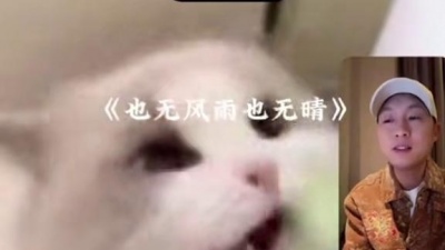 豆豆果 - 《也无风雨也无晴》陈亦洺、尚辰
