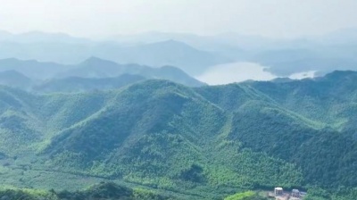 孟杨、柴俊 - 我在莫干山等你