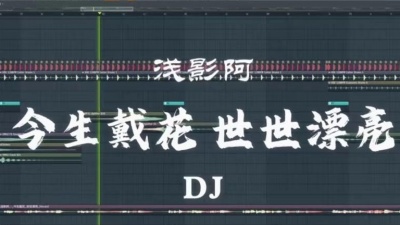豆豆果 - 《今生戴花 世世漂亮》DjSiqe
