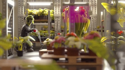 Salo - Baumarkt