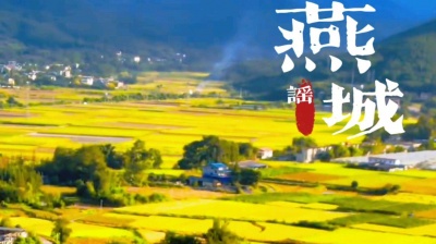 天涯一小鱼 - 燕城谣