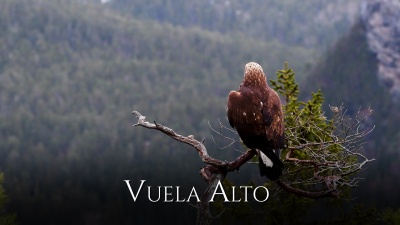 Calibre 50、Banda Carnaval - Vuela Alto