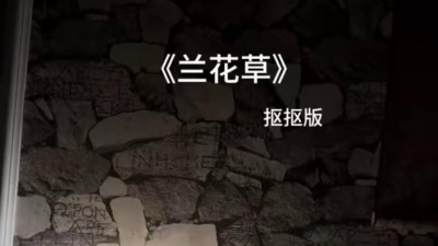 豆豆果 - 《兰花草》抠抠