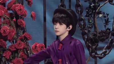 TF家族四代练习生 - 被驯服的象